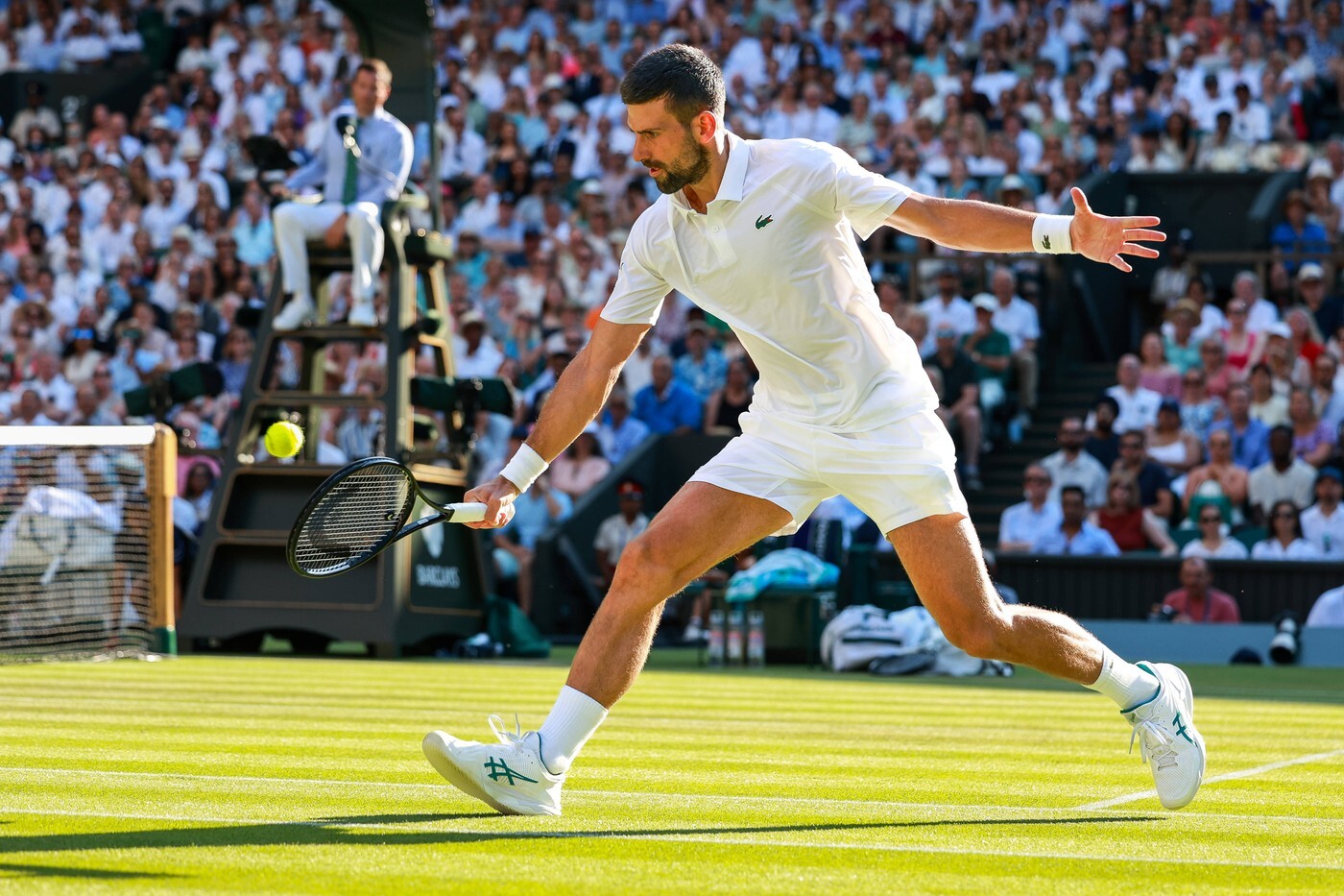 Odehrál Djokovič svůj poslední Wimbledon v kariéře?
