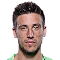Dzumhur Damir