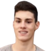 Obradovic Dusan