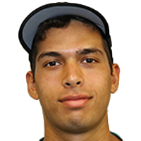 Vega Leonardo