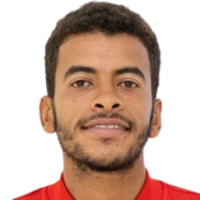 Elsayed Amr